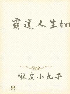 霸道人生txt