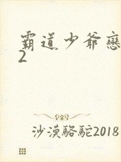 霸道少爷恋上我2