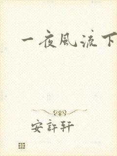 一夜风流下载