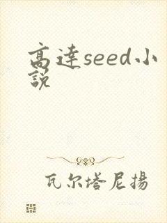 高达seed小说
