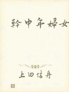 干中年妇女小说