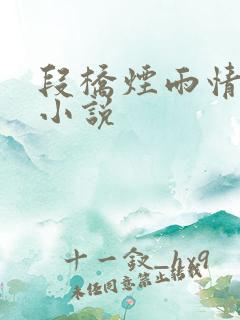 段桥烟雨情难离小说
