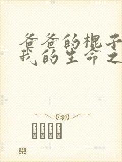 爸爸的棍子顶着我的生命之门