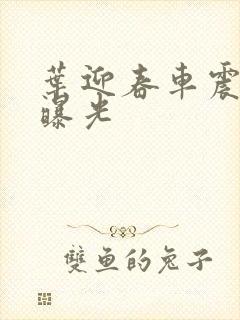 叶迎春车震照片曝光