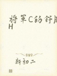 将军C的舒服么H