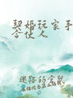 契婚玩家手册之合伙人