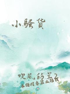 小骚货