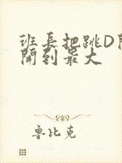 班长把跳D开关开到最大