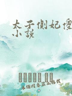 太子侧妃傻乎乎小说