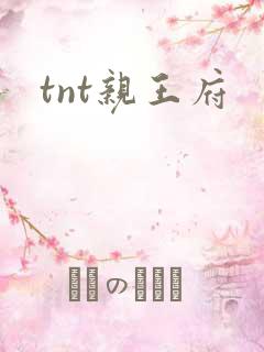 tnt亲王府