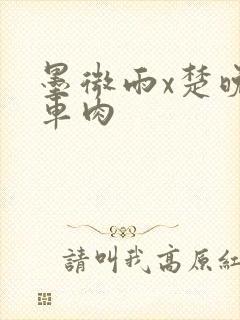 墨微雨x楚晚宁车肉