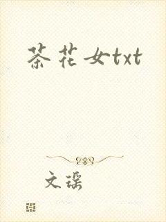茶花女txt