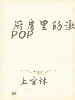 厨房里的激战2POP