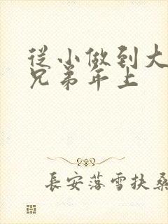 从小做到大骨科兄弟年上