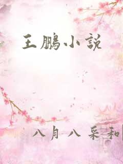 王鹏小说