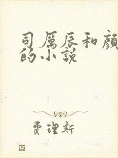 司厉辰和颜辞兮的小说