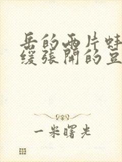 岳的两片蚌肉缓缓张开的豆瓣评分