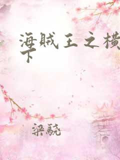 海贼王之横行天下