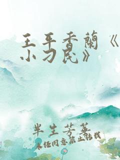 王平香兰《神奇小刁民》