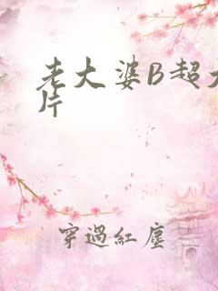 老大婆B超大图片