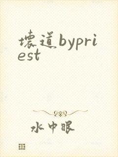 坏道bypriest