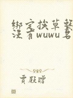 绑定挨草系统后没有wuwu名字