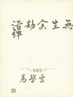 浩劫余生无限子弹