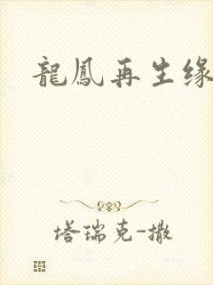 龙凤再生缘