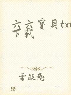 六六宝贝txt下载