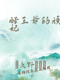 酷王爷的顽皮王妃