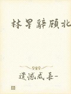 林星辞顾北彦