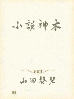小说神木