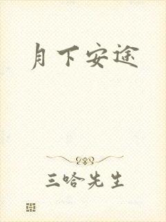 月下安途