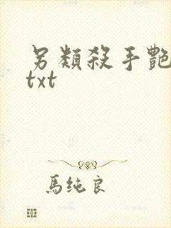 另类杀手艳福星txt