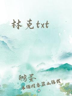 林克txt
