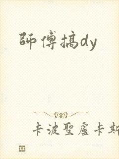 师傅搞dy