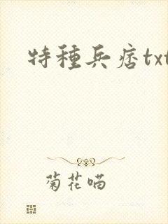 特种兵痞txt