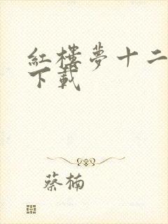 红楼梦十二金钗下载