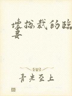 坏总裁的临时娇妻