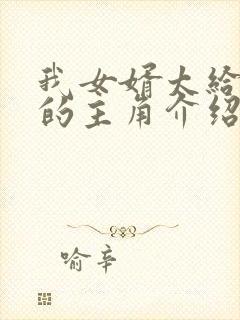 我女婿太给力了的主角介绍