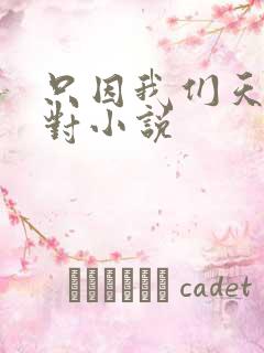 只因我们天生一对小说