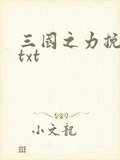 三国之力挽狂澜txt