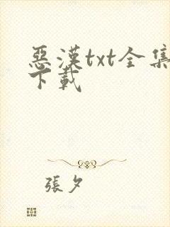 恶汉txt全集下载
