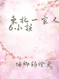 东北一家人1一6小说