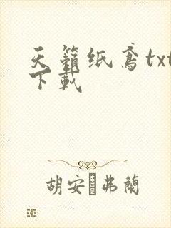 天籁纸鸢txt下载