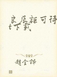 良辰讵可待txt下载