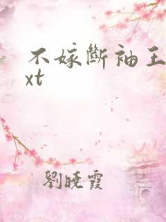不嫁断袖王爷txt