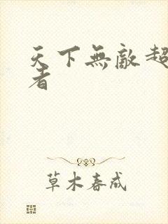 天下无敌超级忍者