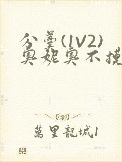 分羹(1V2)奥妮奥不摸鱼