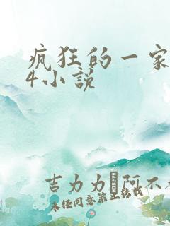 疯狂的一家PS4小说